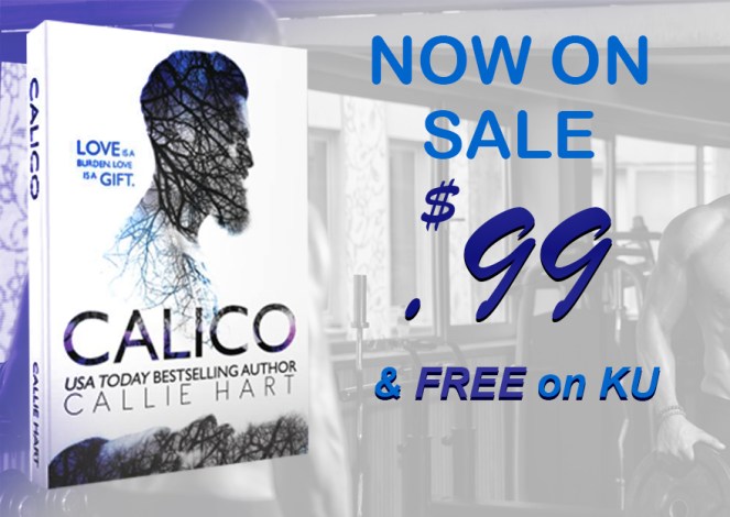 Calico Now On Sale & KU.jpg